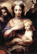 BECCAFUMI, Domenico Madonna with the Infant Christ and St John the Baptist  gfgf oil painting on canvas